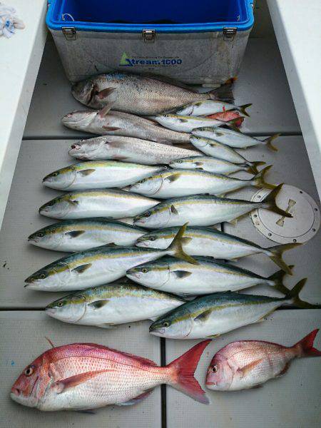 エンペラー 釣果