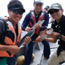ありもと丸 釣果