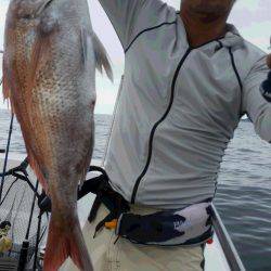 JDI Racing シールズマリンレジャー 釣果