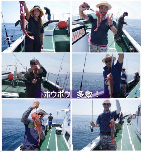 Big One　ビッグワン 釣果