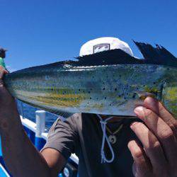 第三共栄丸 釣果