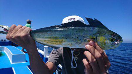 第三共栄丸 釣果