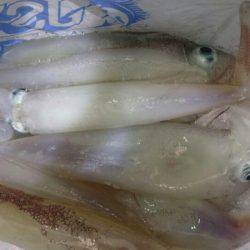 海龍丸（石川） 釣果