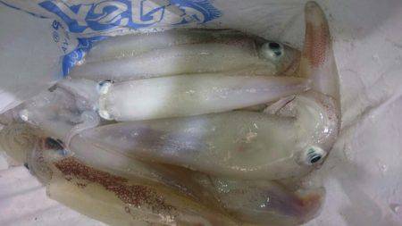 海龍丸（石川） 釣果