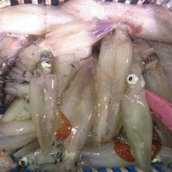 海龍丸（石川） 釣果