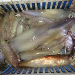 海龍丸（石川） 釣果