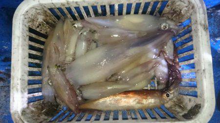 海龍丸（石川） 釣果