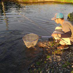 つりぼりあかし 釣果
