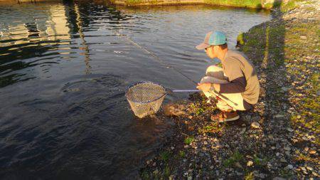 つりぼりあかし 釣果