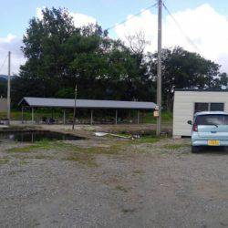 つりぼりあかし 釣果