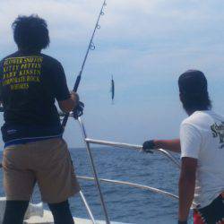 ブルドック 釣果