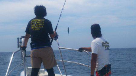 ブルドック 釣果