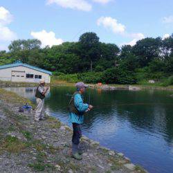 つりぼりあかし 釣果