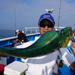 第三共栄丸 釣果