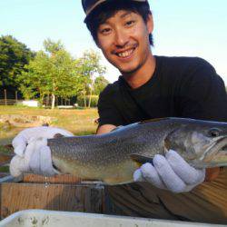 つりぼりあかし 釣果