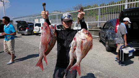 だて丸 釣果