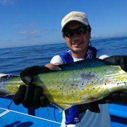 第三共栄丸 釣果