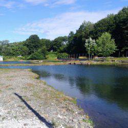 つりぼりあかし 釣果