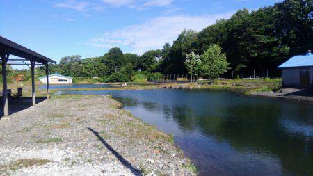 つりぼりあかし 釣果