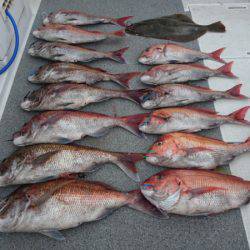 ARCADIAⅡ (アルカディアⅡ) 釣果