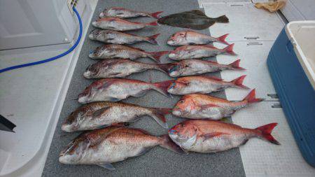 ARCADIAⅡ (アルカディアⅡ) 釣果