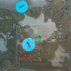 遊漁船　家入 釣果