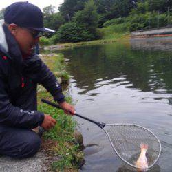 つりぼりあかし 釣果