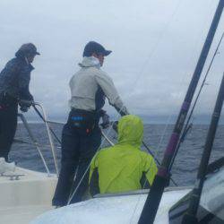 ブルドック 釣果