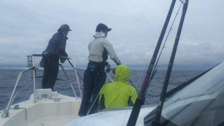 ブルドック 釣果