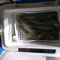 海龍丸（石川） 釣果