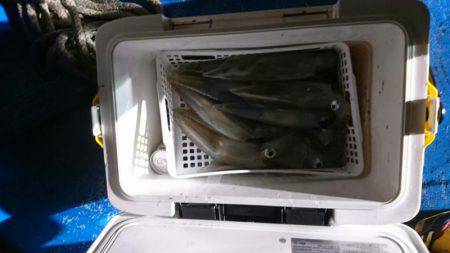 海龍丸（石川） 釣果
