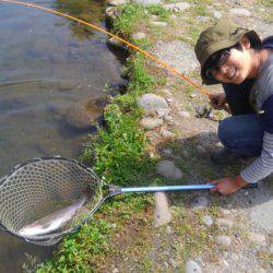 つりぼりあかし 釣果