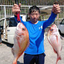 だて丸 釣果