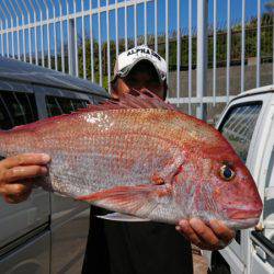 だて丸 釣果