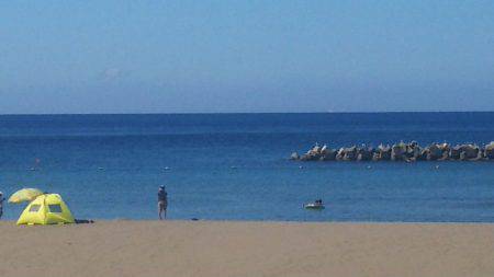 ブルドック 釣果