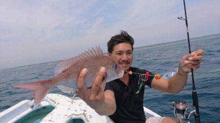 だて丸 釣果