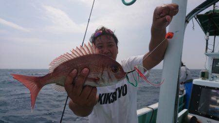 だて丸 釣果