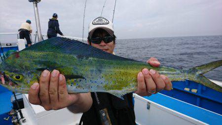 第三共栄丸 釣果