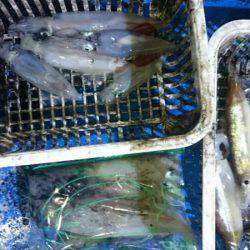 海龍丸（石川） 釣果