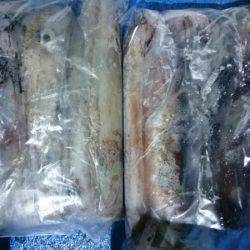 海龍丸（石川） 釣果