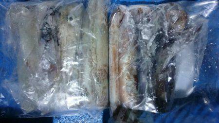 海龍丸（石川） 釣果