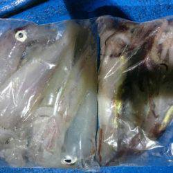 海龍丸（石川） 釣果