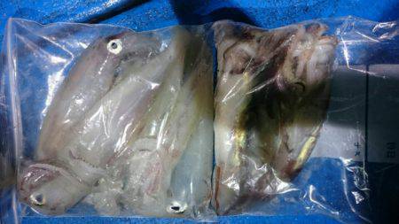 海龍丸（石川） 釣果