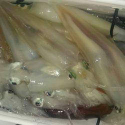 海龍丸（石川） 釣果