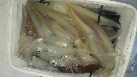 海龍丸（石川） 釣果