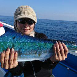 第三共栄丸 釣果