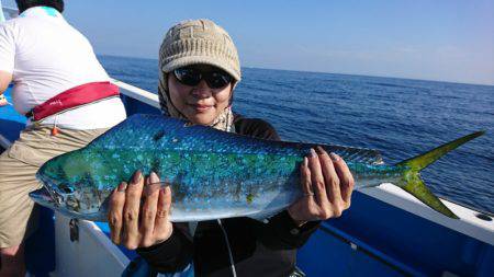 第三共栄丸 釣果