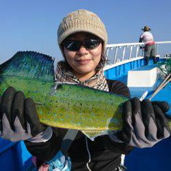 第三共栄丸 釣果