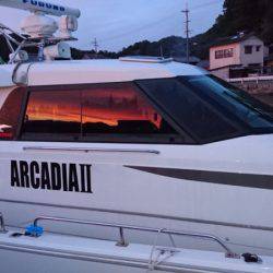 ARCADIAⅡ (アルカディアⅡ) 釣果