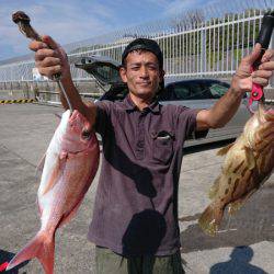 だて丸 釣果